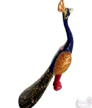 2.5 Painted Peacock