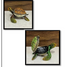 Brass Decorative Tortoise