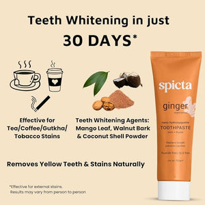 Spicta Toothpaste