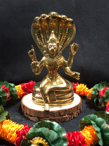 Lord Narasimhadeva Deity (Various Sizes available)
